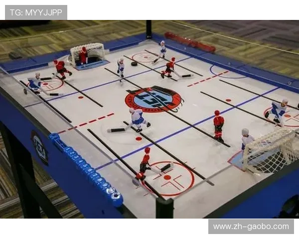 巴沙体育：多元化体育项目融合满足不同年龄层的运动需求