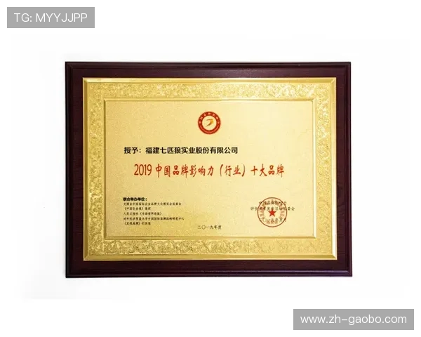 海星娱乐：打造具有国际影响力的娱乐品牌，拓展全球市场的战略布局