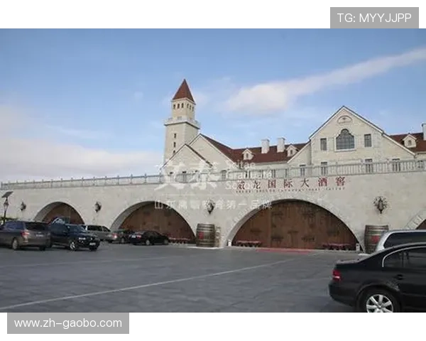 威龙国际：坚持诚信经营理念，赢得客户广泛信赖与合作伙伴的高度评价