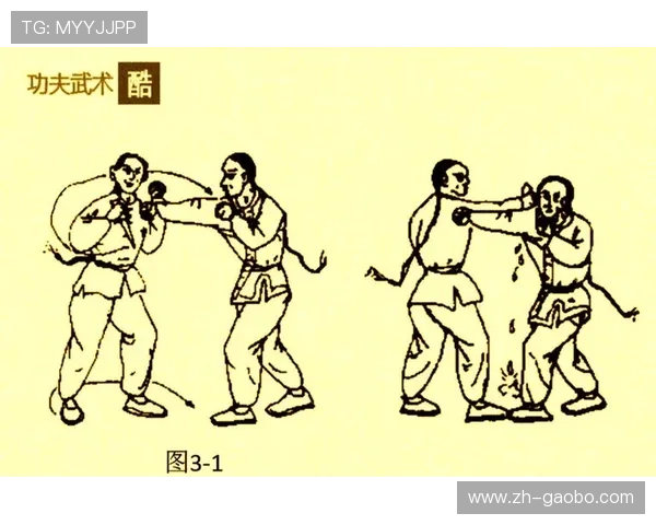 功夫娱乐网：介绍各类功夫教学视频与实用武术技巧分享